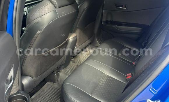 Sayi Imported Toyota C-HR Blue Mota in Douala a Ƙasar Kamaru Sayi Imported Toyota C-HR Blue Mota in Douala a Ƙasar Kamaru