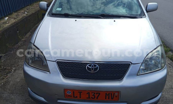 Buy Used Toyota Corolla Silver Car in Douala in Littoral Cameroon