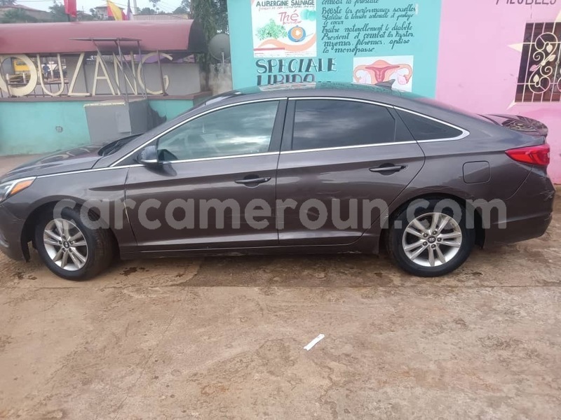 Big with watermark hyundai sonata littoral cameroon douala 21397