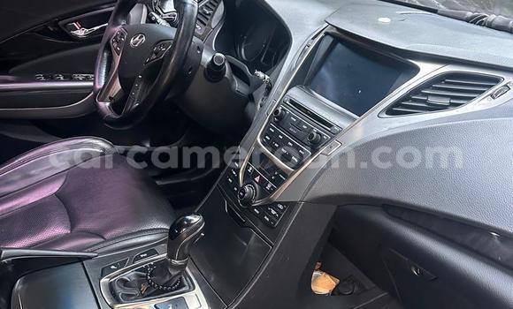 Buy Used Hyundai Grandeur Black Car in Douala in Littoral Cameroon Buy Used Hyundai Grandeur Black Car in Douala in Littoral Cameroon