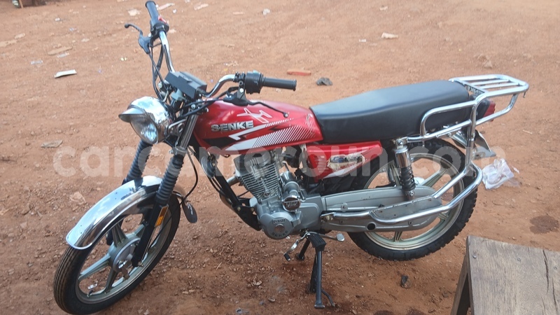 Big with watermark lifan lf150 central cameroon mfou 21422