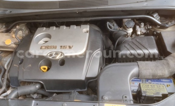 Sayi Na hannu Hyundai Tucson M Mota in Yaounde a Babban Kamaru Sayi Na hannu Hyundai Tucson M Mota in Yaounde a Babban Kamaru