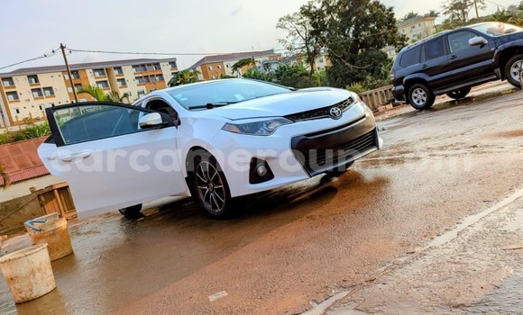 Buy New Toyota Corolla White Car in Yaounde in Central Cameroon