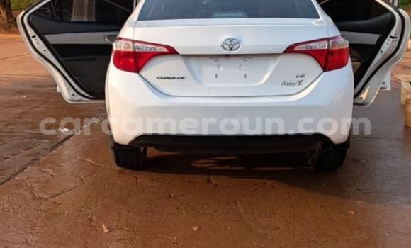 Acheter Neuf Voiture Toyota Corolla Blanc à Yaoundé, Central Cameroon Acheter Neuf Voiture Toyota Corolla Blanc à Yaoundé, Central Cameroon