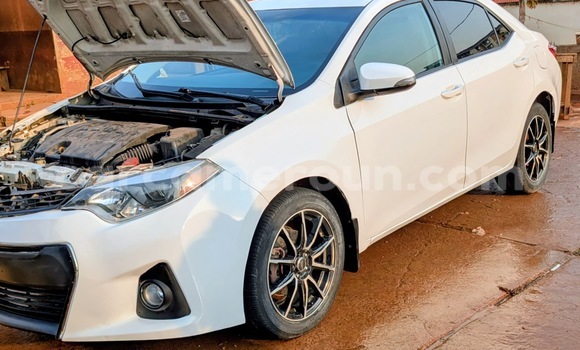 Acheter Neuf Voiture Toyota Corolla Blanc à Yaoundé, Central Cameroon Acheter Neuf Voiture Toyota Corolla Blanc à Yaoundé, Central Cameroon