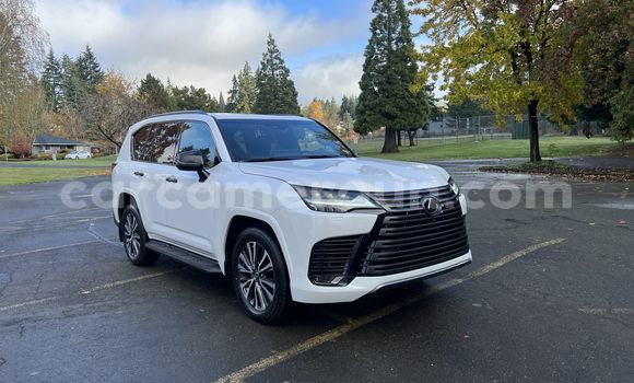 Sayi Na hannu Lexus LX White Mota in Import - Dubai a Adamawa