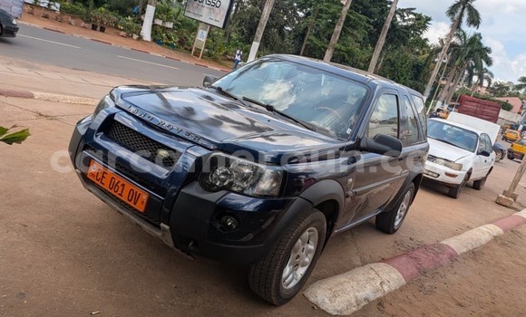Acheter Occasion Voiture Land Rover Freelander Noir à Yaoundé, Central Cameroon Acheter Occasion Voiture Land Rover Freelander Noir à Yaoundé, Central Cameroon
