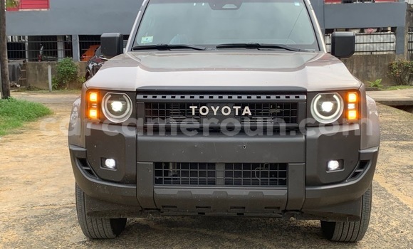Buy New Toyota Land Cruiser Silver Car in Douala in Littoral Cameroon