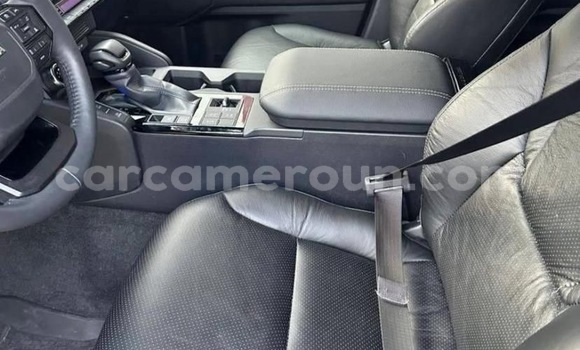 Acheter Neuf Voiture Toyota Land Cruiser Gris à Douala, Littoral Cameroon Acheter Neuf Voiture Toyota Land Cruiser Gris à Douala, Littoral Cameroon