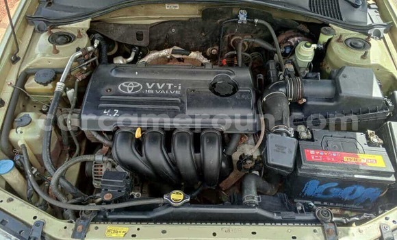 Buy Used Toyota Avensis Green Car in Yaounde in Central Cameroon Buy Used Toyota Avensis Green Car in Yaounde in Central Cameroon