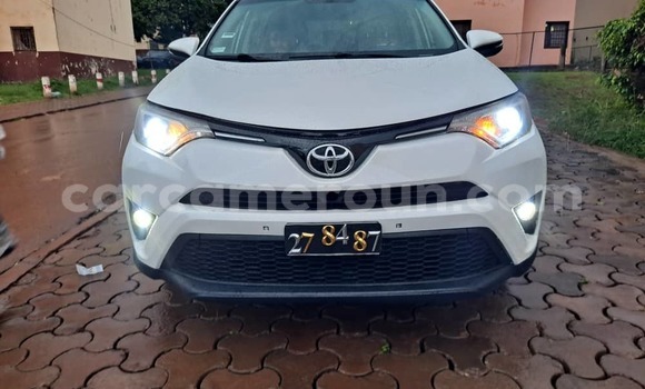 Buy Used Toyota RAV4 White Car in Yaounde in Central Cameroon Buy Used Toyota RAV4 White Car in Yaounde in Central Cameroon