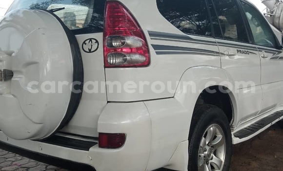 Sayi Na hannu Toyota Land Cruiser Prado White Mota in Douala a Ƙasar Kamaru