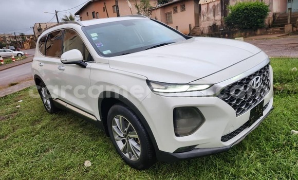 Buy Used Hyundai Santa Fe White Car in Yaounde in Central Cameroon