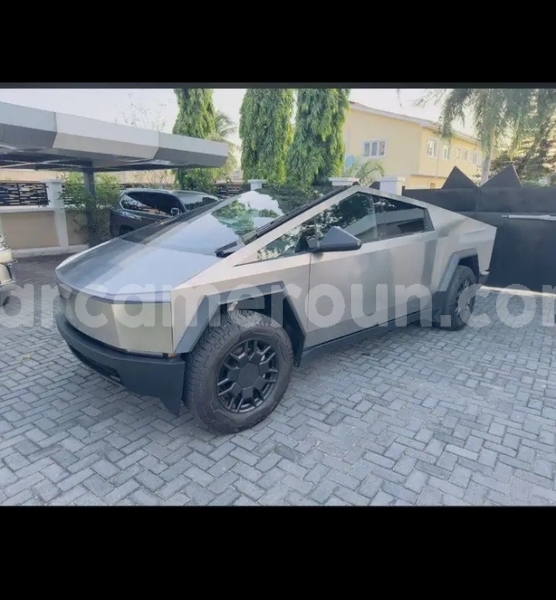 Big with watermark tesla model x central cameroon yaounde 21513