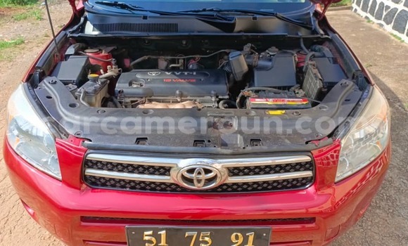Buy Used Toyota RAV4 Red Car in Yaounde in Central Cameroon Buy Used Toyota RAV4 Red Car in Yaounde in Central Cameroon