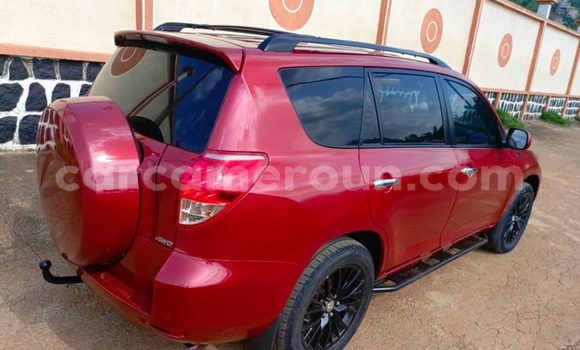 Buy Used Toyota RAV4 Red Car in Yaounde in Central Cameroon Buy Used Toyota RAV4 Red Car in Yaounde in Central Cameroon