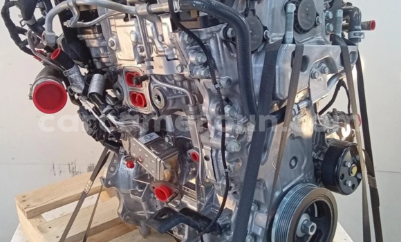 Acheter 2021 KIA SPORTAGE 1.6L à Yaoundé, Central Cameroon Acheter 2021 KIA SPORTAGE 1.6L à Yaoundé, Central Cameroon