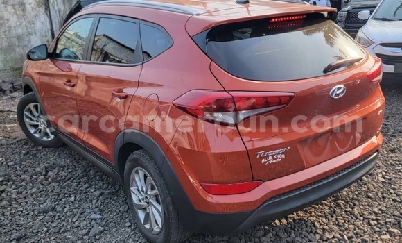 Acheter Import Voiture Hyundai Tucson Autre à Douala, Littoral Cameroon Acheter Import Voiture Hyundai Tucson Autre à Douala, Littoral Cameroon