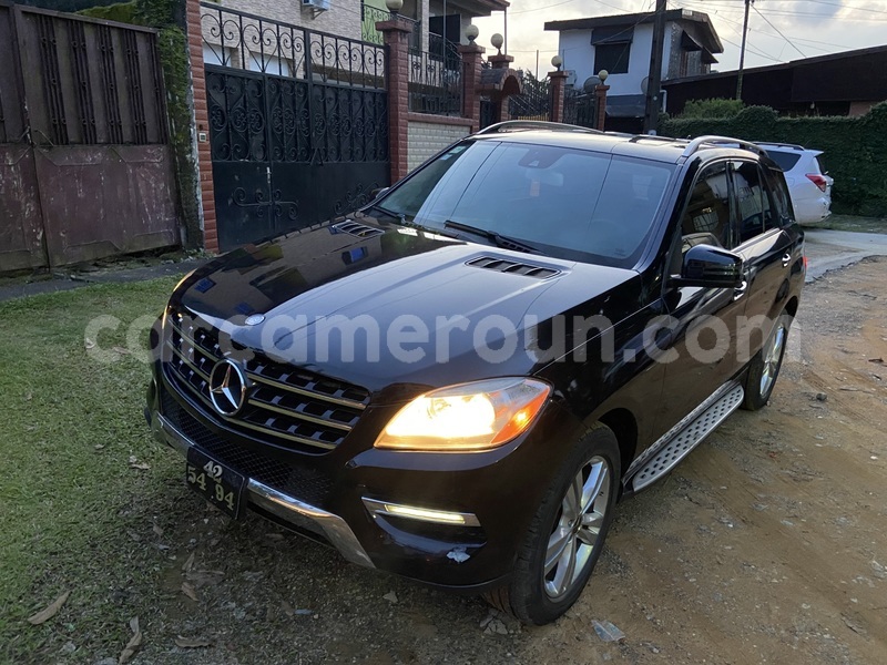 Big with watermark mercedes benz ml class littoral cameroon douala 21520