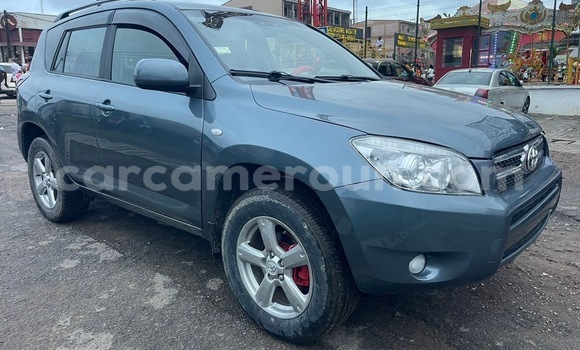 Acheter Occasion Voiture Toyota RAV4 Gris à Douala, Littoral Cameroon