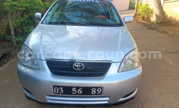 Buy Used Toyota Corolla Silver Car in Yaounde in Central Cameroon Buy Used Toyota Corolla Silver Car in Yaounde in Central Cameroon