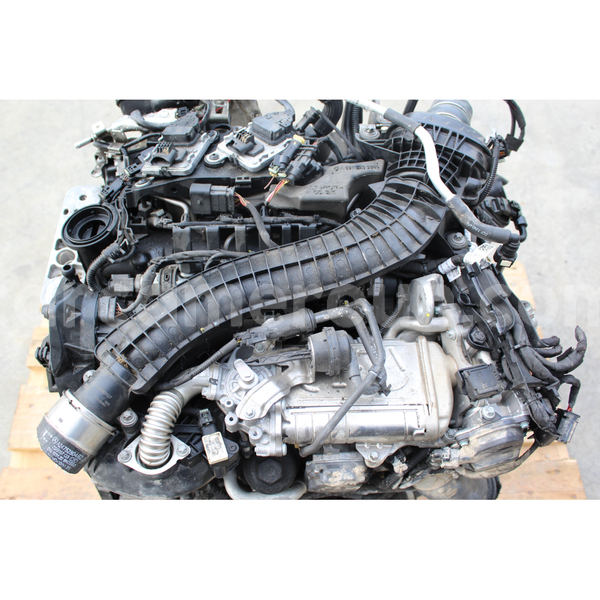 Big with watermark s l16000