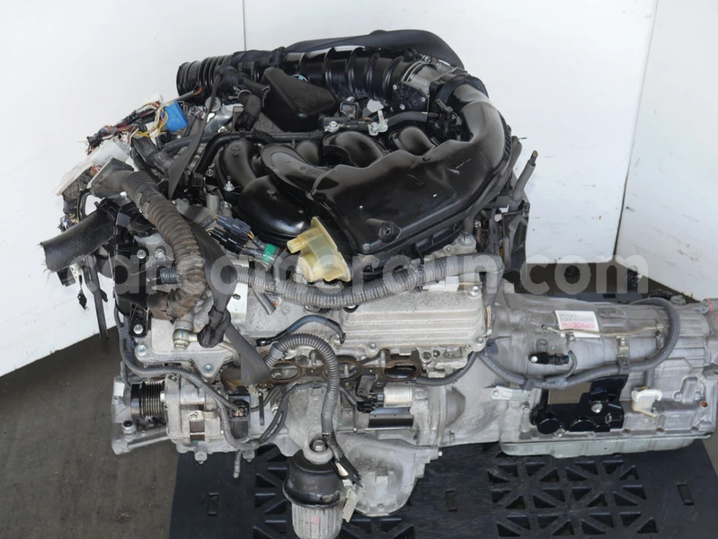 Big with watermark image f