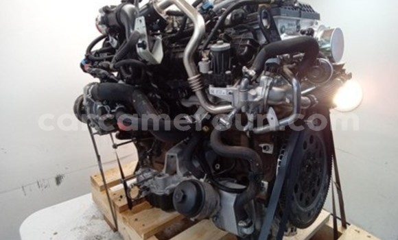 Buy Ford Ranger Engine in Douala in Littoral Cameroon Buy Ford Ranger Engine in Douala in Littoral Cameroon