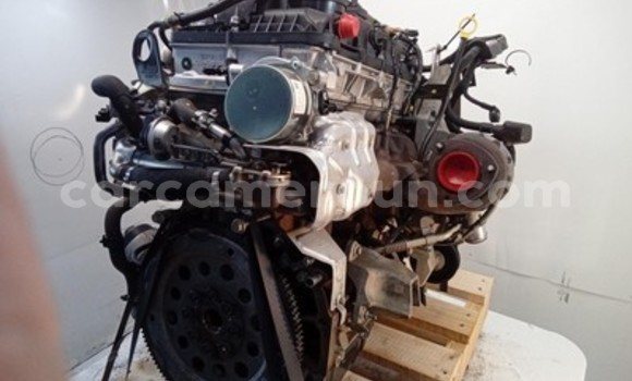 Buy Ford Ranger Engine in Douala in Littoral Cameroon Buy Ford Ranger Engine in Douala in Littoral Cameroon