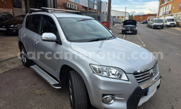 Buy Used Toyota RAV4 Silver Car in Yaounde in Central Cameroon