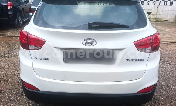 Sayi Na hannu Hyundai Tucson White Mota in Douala a Ƙasar Kamaru Sayi Na hannu Hyundai Tucson White Mota in Douala a Ƙasar Kamaru