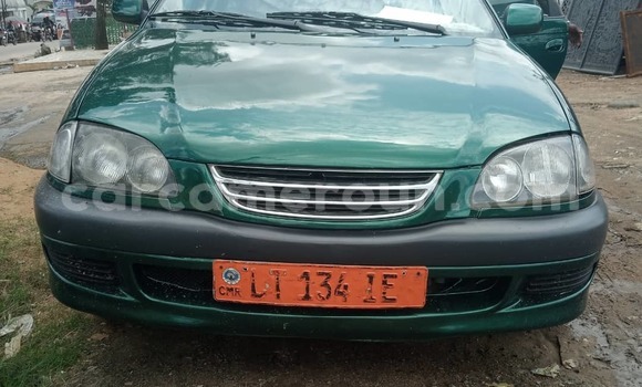 Buy Used Toyota Avensis Green Car in Douala in Littoral Cameroon