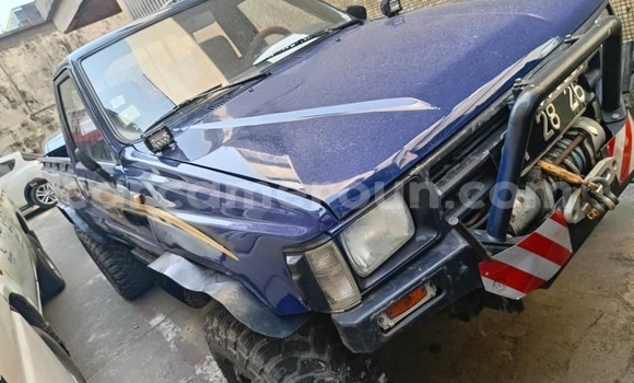 Acheter Occasion Voiture Toyota Hilux Bleu à Douala, Littoral Cameroon