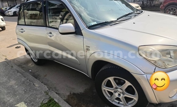 Acheter Occasion Voiture Toyota RAV4 Gris à Douala, Littoral Cameroon