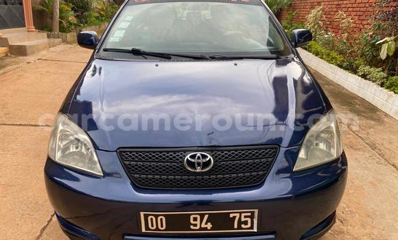 Sayi Na hannu Toyota Corolla Blue Mota in Yaounde a Babban Kamaru