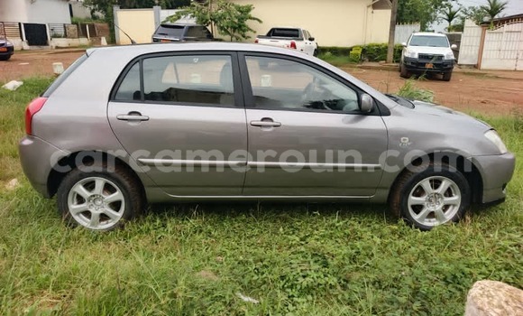 Acheter Occasion Voiture Toyota Corolla Gris à Yaoundé, Central Cameroon