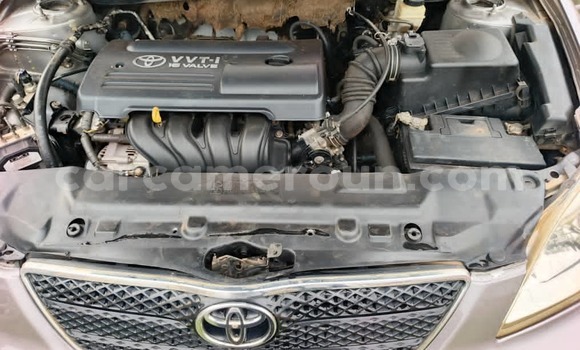 Sayi Na hannu Toyota Corolla Azurfa Mota in Yaounde a Babban Kamaru Sayi Na hannu Toyota Corolla Azurfa Mota in Yaounde a Babban Kamaru