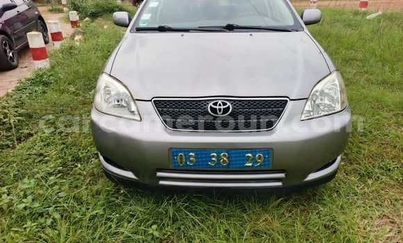 Sayi Na hannu Toyota Corolla Azurfa Mota in Yaounde a Babban Kamaru Sayi Na hannu Toyota Corolla Azurfa Mota in Yaounde a Babban Kamaru