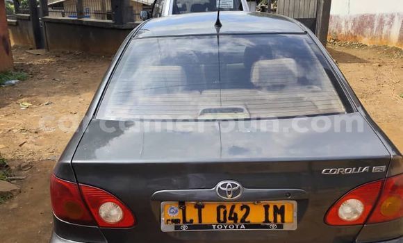 Buy Used Toyota Corolla Silver Car in Yaounde in Central Cameroon
