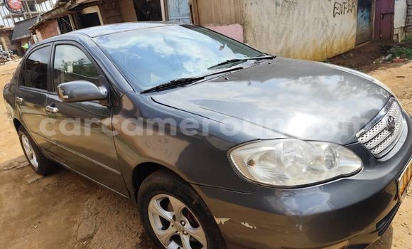 Buy Used Toyota Corolla Silver Car in Yaounde in Central Cameroon Buy Used Toyota Corolla Silver Car in Yaounde in Central Cameroon