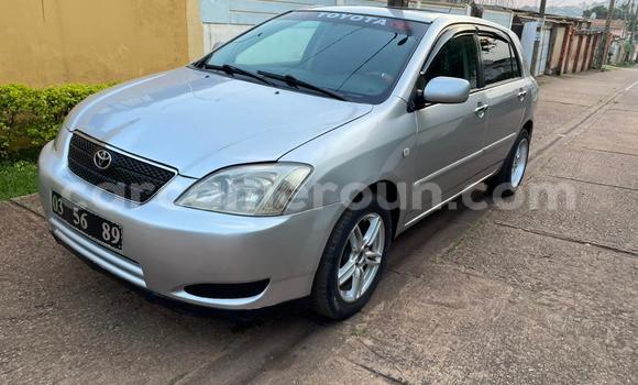 Sayi Na hannu Toyota Corolla Azurfa Mota in Yaounde a Babban Kamaru Sayi Na hannu Toyota Corolla Azurfa Mota in Yaounde a Babban Kamaru