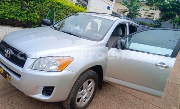 Buy Used Toyota RAV4 Silver Car in Yaounde in Central Cameroon Buy Used Toyota RAV4 Silver Car in Yaounde in Central Cameroon
