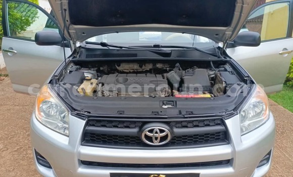 Sayi Na hannu Toyota RAV4 Azurfa Mota in Yaounde a Babban Kamaru Sayi Na hannu Toyota RAV4 Azurfa Mota in Yaounde a Babban Kamaru