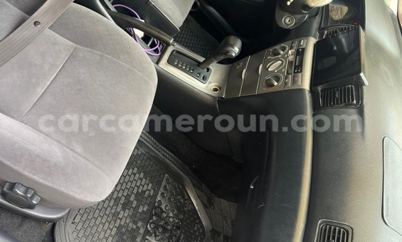 Acheter Occasion Voiture Toyota Allex Gris à Douala, Littoral Cameroon Acheter Occasion Voiture Toyota Allex Gris à Douala, Littoral Cameroon