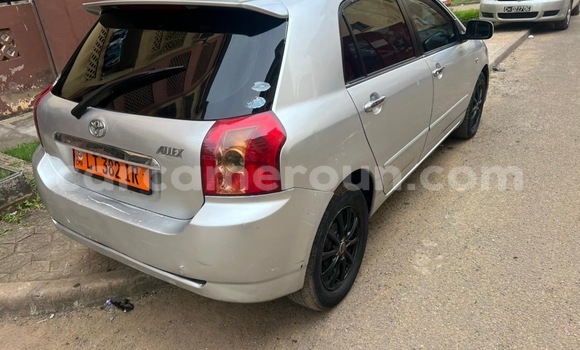 Acheter Occasion Voiture Toyota Allex Gris à Douala, Littoral Cameroon Acheter Occasion Voiture Toyota Allex Gris à Douala, Littoral Cameroon
