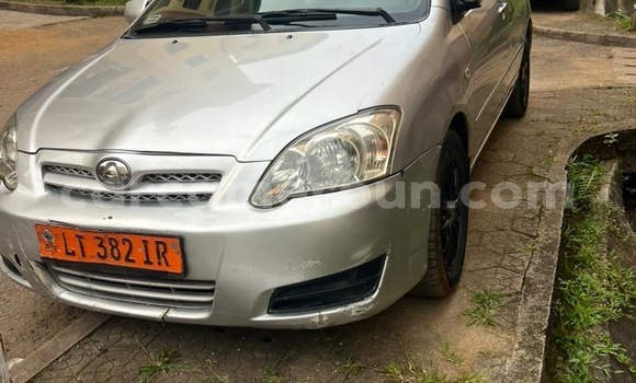 Acheter Occasion Voiture Toyota Allex Gris à Douala, Littoral Cameroon Acheter Occasion Voiture Toyota Allex Gris à Douala, Littoral Cameroon