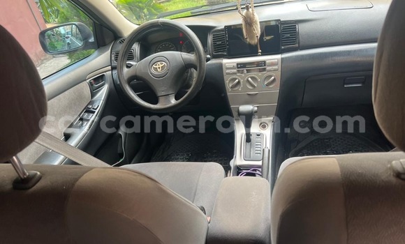 Acheter Occasion Voiture Toyota Allex Gris à Douala, Littoral Cameroon Acheter Occasion Voiture Toyota Allex Gris à Douala, Littoral Cameroon