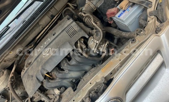 Acheter Occasion Voiture Toyota Allex Gris à Douala, Littoral Cameroon Acheter Occasion Voiture Toyota Allex Gris à Douala, Littoral Cameroon