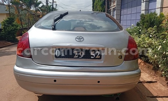 Sayi Na hannu Toyota Corolla Azurfa Mota in Yaounde a Babban Kamaru Sayi Na hannu Toyota Corolla Azurfa Mota in Yaounde a Babban Kamaru