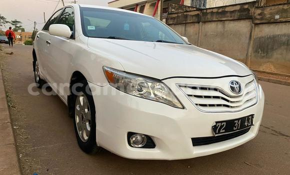 Buy Used Toyota Camry White Car in Yaounde in Central Cameroon Buy Used Toyota Camry White Car in Yaounde in Central Cameroon
